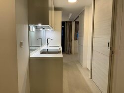 V On Shenton (D1), Apartment #459244401